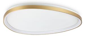 IDEAL LUX LED-stropna svetilka Gemini, medenina, 81 cm, 2700 K, vklop/izklop, Zlata / medeninasta, Dnevna soba / jedilnica, Kovina, Sodobni