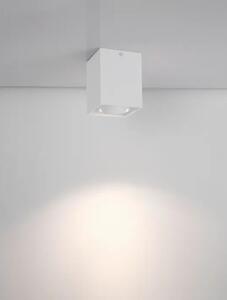 Talna svetilka RENDE BELA GU10 1x10 W IP20 AC220-240 V NL9030428