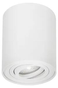 Stropna svetilka GOZZANO BELA GU10 1x10 W IP20 220-240 V NL9174511