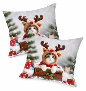 Set 2 prevlek za vzglavnik 3D RUDOLPH MUCEK 45x45 cm