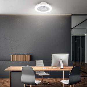 Briloner LED stropni ventilator Pafo, bel, plastika, CCT, daljinski upravljalnik, zatemnjen, Bela, spalnica, Plastika