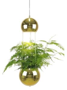 Globen LightingGloben Lighting - Mini Planter Obesek Svetilka Medeninasta Globen Lighting