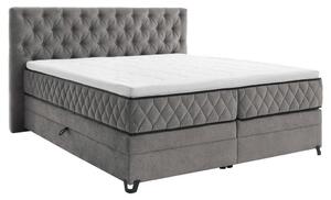 Modern Living Postelja Boxspring Carmen, Siva, 160x200