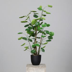 OKRASNA RASTLINA 90 cm