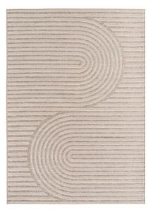 Bež notranja in zunanja preproga 200x290 cm Desert 1301 – Ayyildiz Carpets