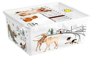 Keter Zaboj za shranjevanje Pets Collection (Do x Š x V: 34 x 40 x 17 mm, Plastika)