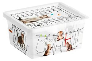 Keter Zaboj za shranjevanje Pets Collection (Do x Š x V: 16,5 x 19,5 x 9,5 mm, Plastika)