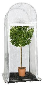 Zaščitni šotor za velike rastline (Š x V: 1 x 2,5 m, Debelina folije: 150 g/m²)
