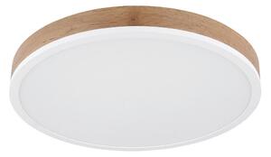 STROPNA LED-SVETILKA 45/8,5 cm