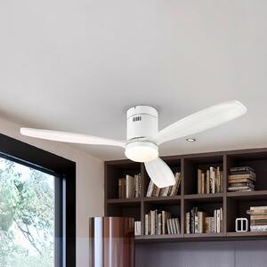 Schuller Valencia LED stropni ventilator Siroco, bel, Ø 132 cm, tih, CCT, zatemnjen, Bela, Dnevna soba / jedilnica, Les, Sodobni