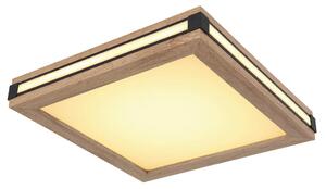 STROPNA LED-SVETILKA 3000 K 230 V