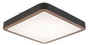 STROPNA LED-SVETILKA 24 W 2200 lm 3000 K 220-240 V