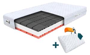 Wilsondo Pena vzmetnica z vzglavnikom Amico 90x200x22 - Prevleka Silver