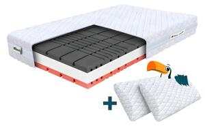 Wilsondo Pena vzmetnica z 2 vzglavnikoma Amico 160x200x22 - Prevleka Silver