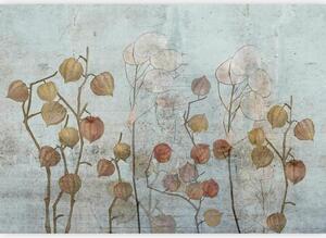 Artgeist Fototapeta Painted Lunaria, 150x105cm