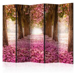 PARAVAN 225/172/3 cm rjava, pink