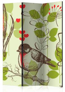 PARAVAN 135/172/3 cm rjava, zelena