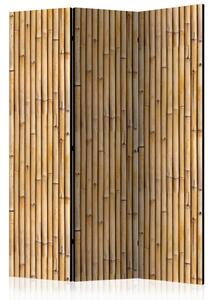PARAVAN 135/172/3 cm rjava, bež