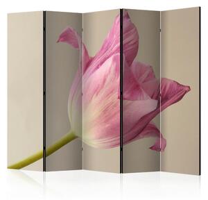 PARAVAN 225/172/3 cm pink, bež