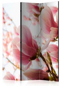 PARAVAN 135/172/3 cm bela, pink