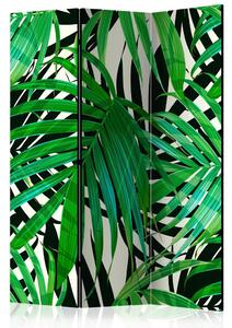 PARAVAN 135/172/3 cm zelena, bela