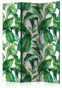 PARAVAN 135/172/3 cm zelena, bela
