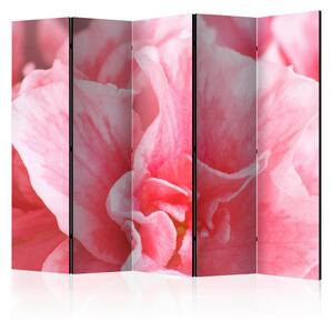 PARAVAN 225/172/3 cm bela, pink