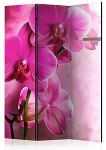 PARAVAN 135/172/3 cm pink