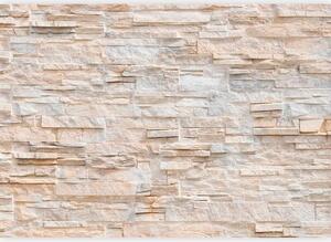 Artgeist Fototapeta Stony Gracefulness, 150x105cm