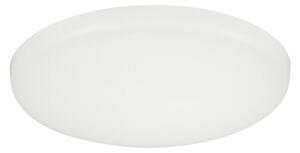 Eglo LED okrogla vgradna svetilka Rapita (4,5 W, Ø x V: 7,5 x 2 cm, Bela, Toplo bela)