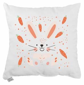 Okrasni vzglavnik Carrots 40x40 cm EMI