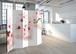 Paravan - Cherry Blossom II