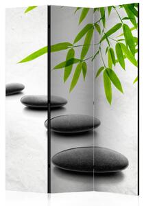 Paravan - Zen Stones