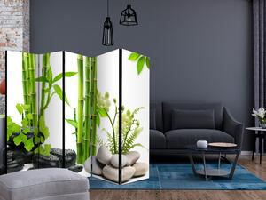 Paravan - Bamboos and Stones II