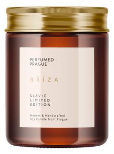 Dišeča sveča iz sojinega voska čas gorenja 40 h Slavic Edition: Birch – Perfumed Prague