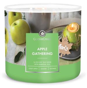 Dišeča sveča iz sojinega voska čas gorenja 35 h Apple Gathering – Goose Creek