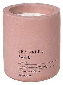 Dišeča sveča iz sojinega voska čas gorenja 55 h Fraga: Sea Salt and Sage – Blomus