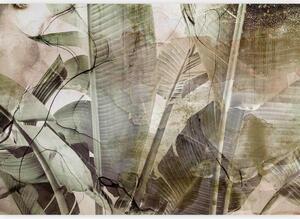 Artgeist Fototapeta Banana Jungle, 150x105cm