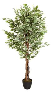 MID.YOU Umetna Rastlina Ficus