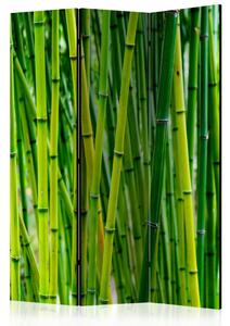 PARAVAN 135/172/3 cm svetlo zelena