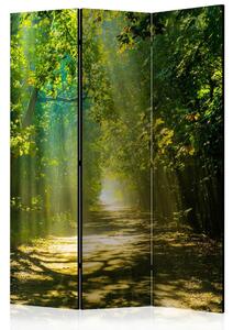 PARAVAN 135/172/3 cm zelena, temno zelena