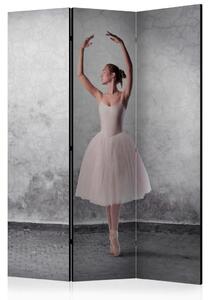 PARAVAN 135/172/3 cm siva, pink