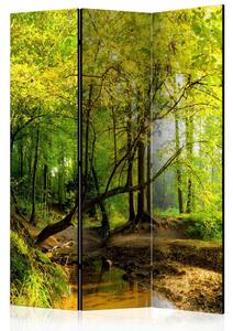 PARAVAN 135/172/3 cm zelena, svetlo rjava
