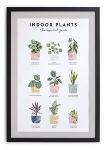 Stenska slika v okvirju Really Nice Things Indoor Plants, 30 x 40 cm