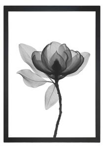 Plakat Tablo Center Harmony Flower, 24 x 29 cm