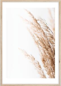 Plakat v okvirju 50x70 cm Beige II - Styler