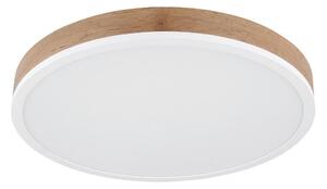 Globo Stropna Led-svetilka Doro, S Sijalko