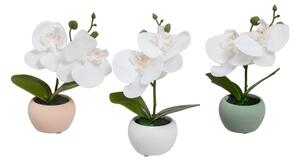 Umetne rastline v kompletu 3 ks (višina 15 cm) Orchid – Casa Selección