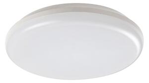 Rabalux 7979 - LED Zunanja stropna svetilka ERIC LED/24W/230V IP64