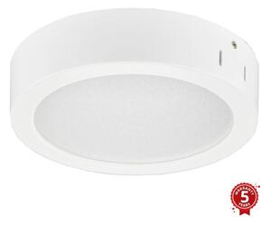 Philips - LED Kopalniška stropna svetilka LED/21W/230V IP44 3000K